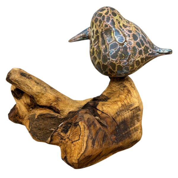 Geschilderde abstracte vogel op wortel