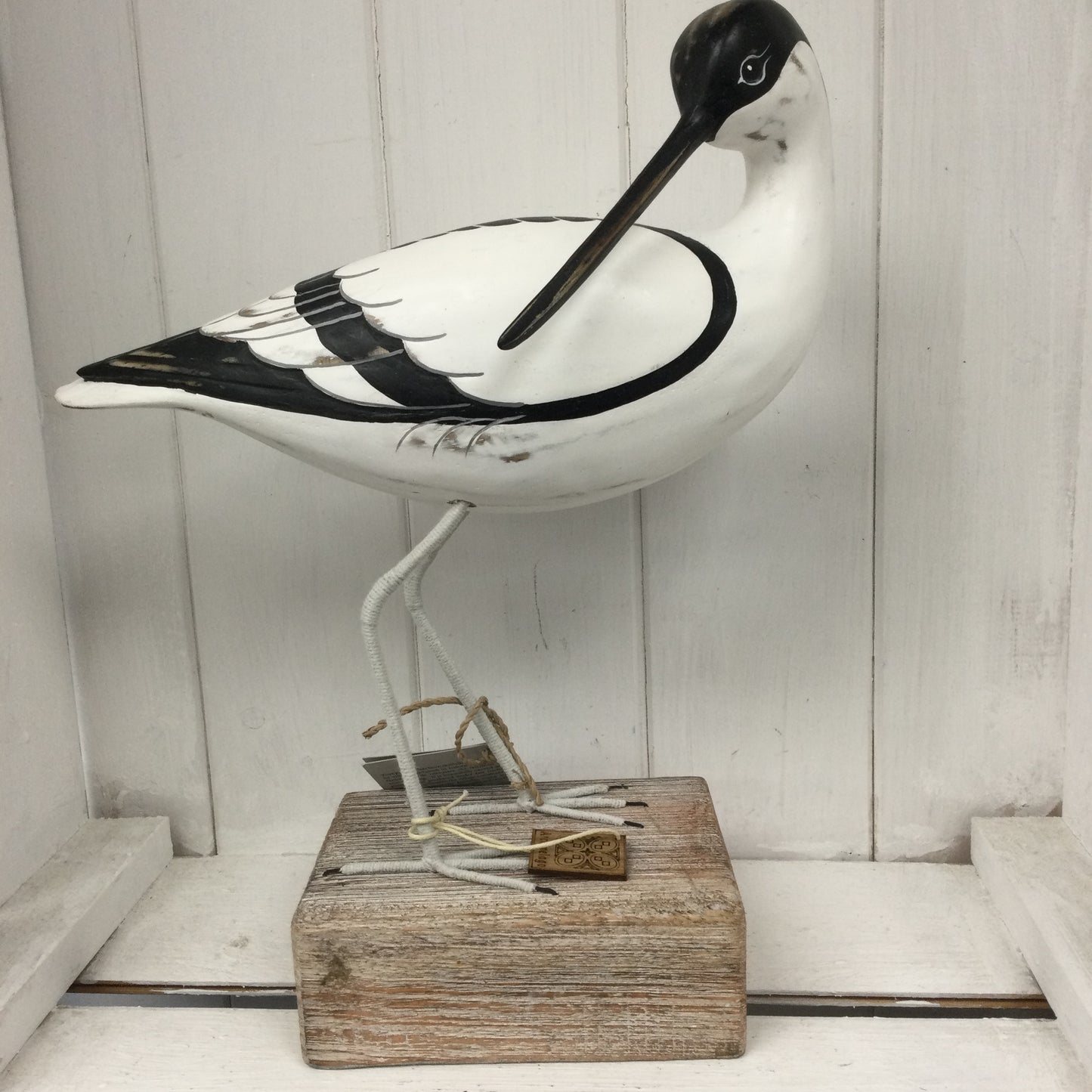 Avocet
