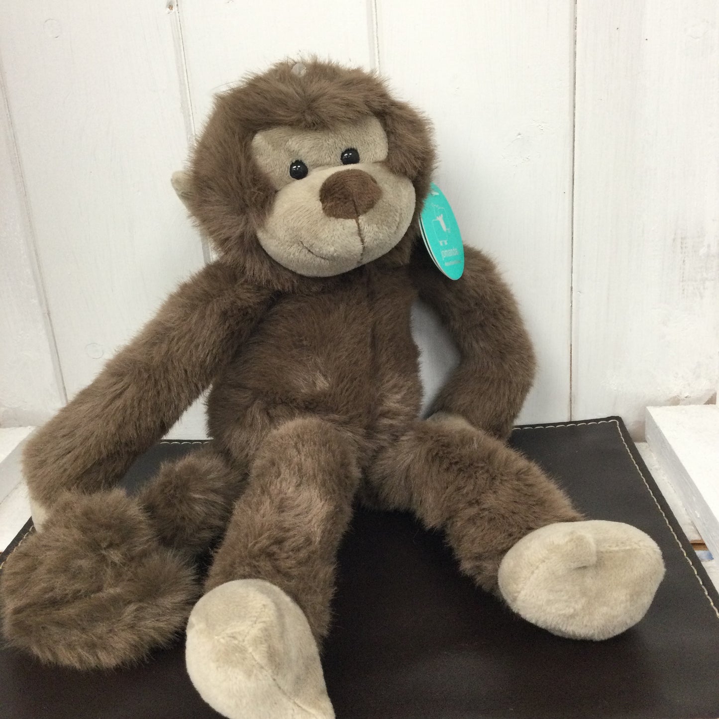 Cheeky Monkey Soft Plush Toy