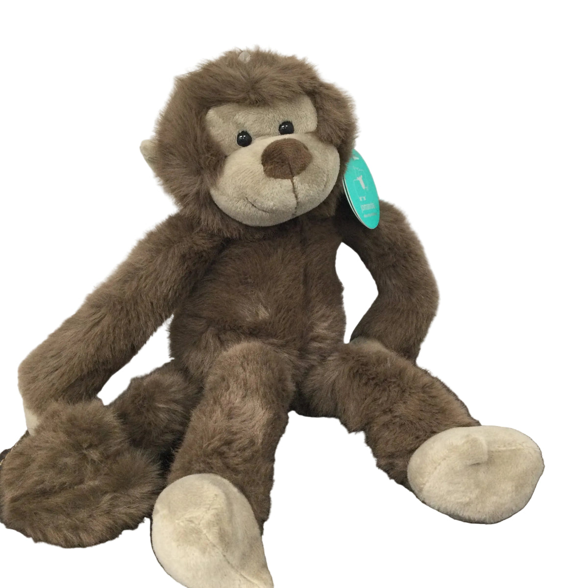 Cheeky Monkey Soft Plush Toy