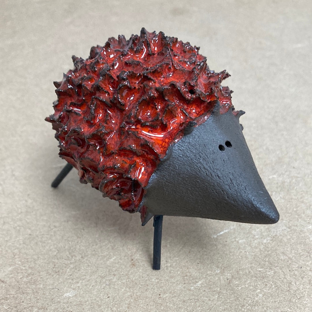 Spiky Hedgehog