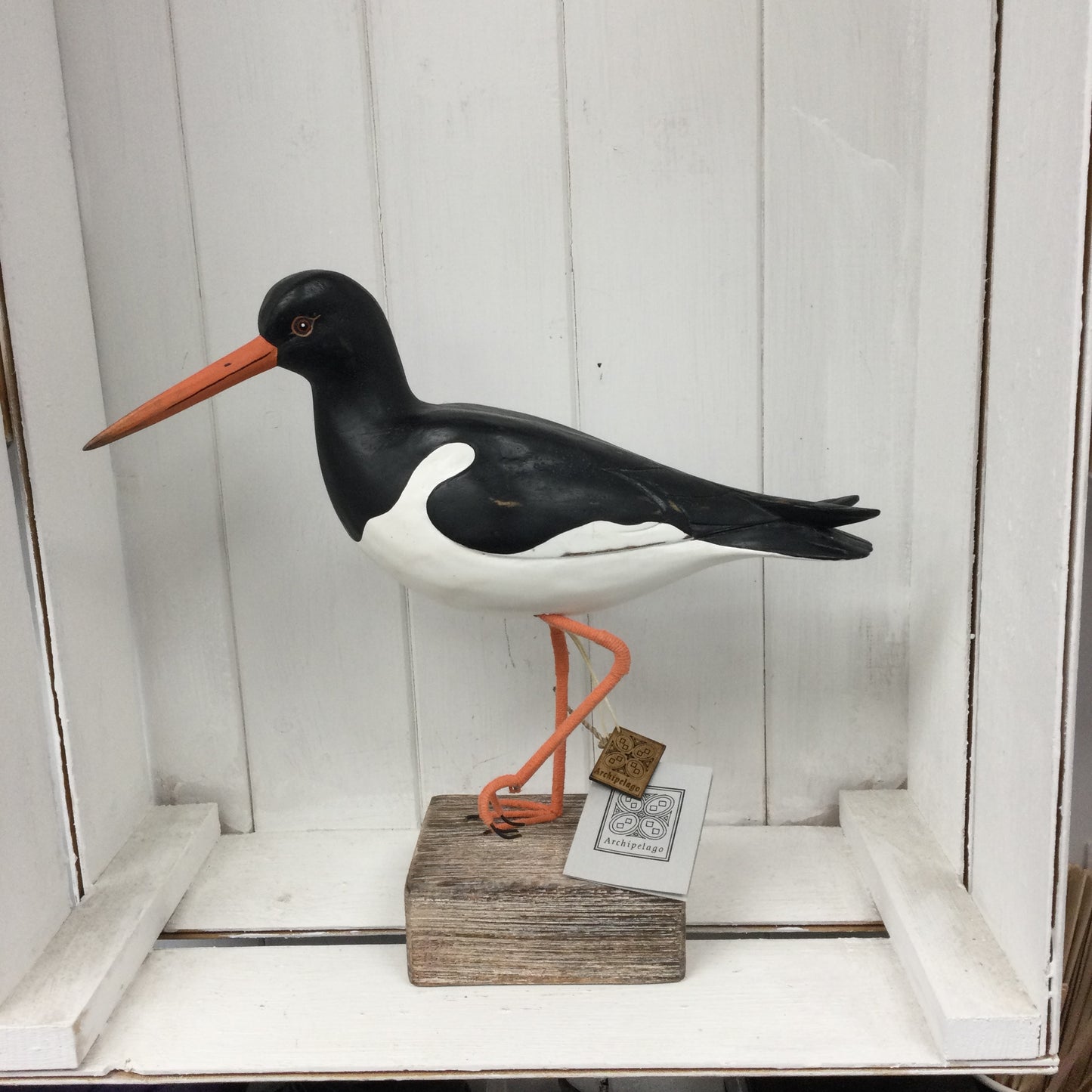 Oyster Catcher