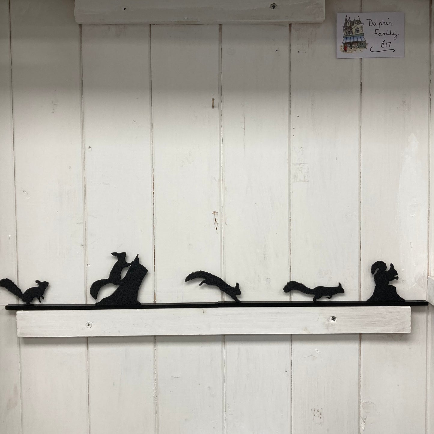 Squirrel Set - Shape Shadows