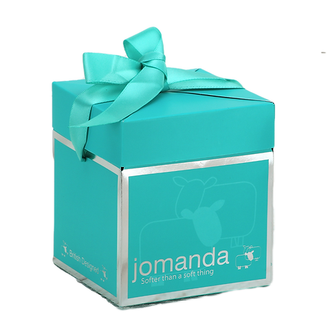 Cuddly Mini Hedgehog