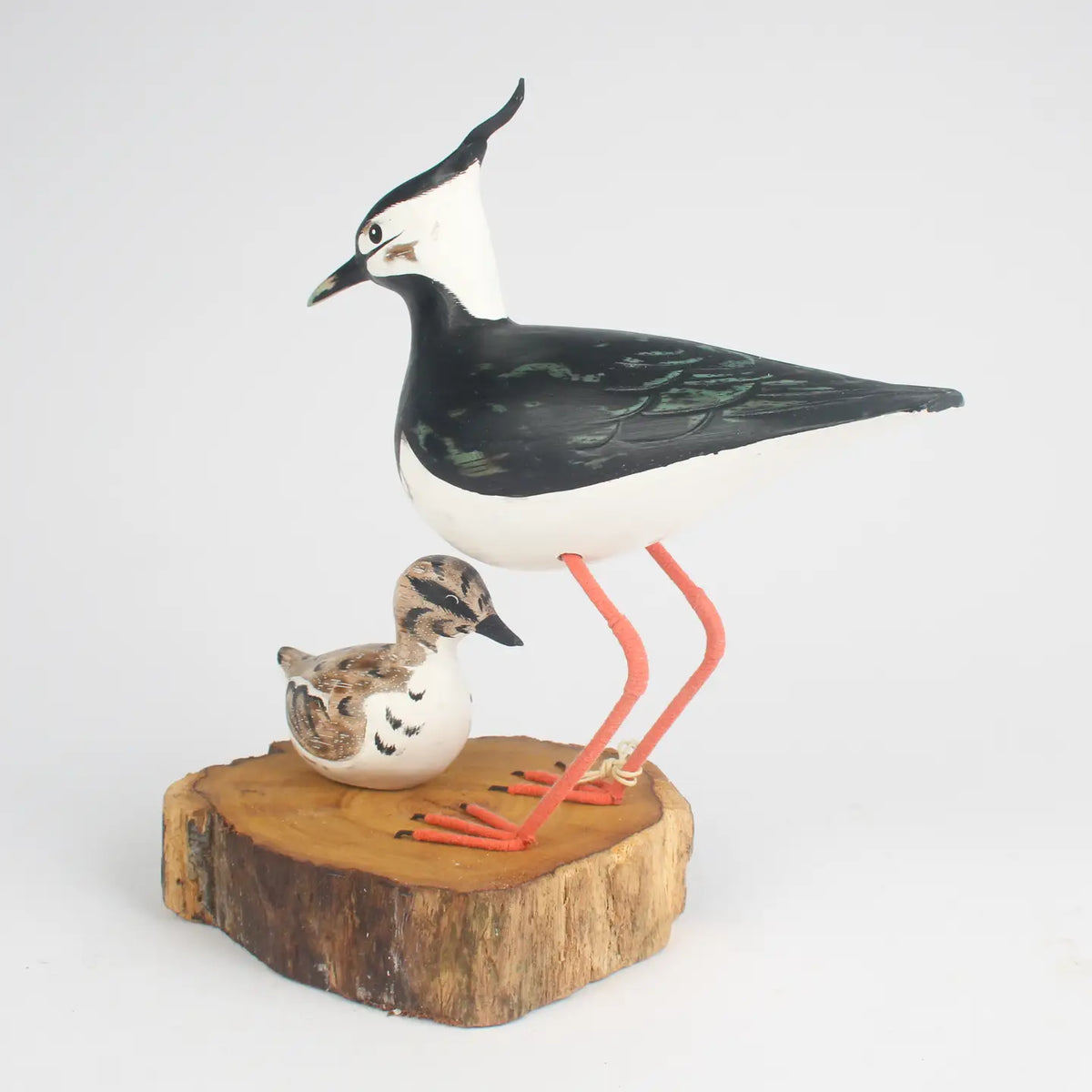 Lapwing and Chick