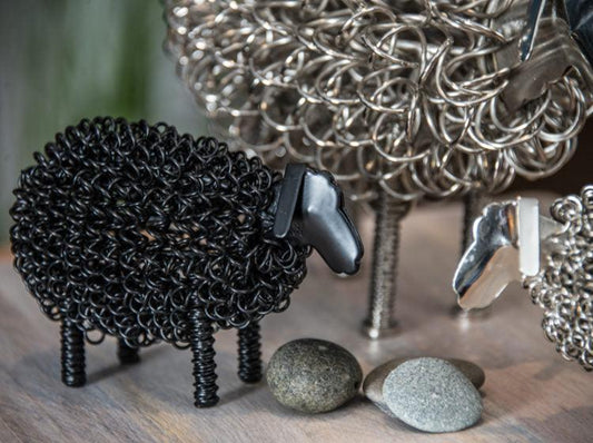 Wiggle Lamb - The Coast Office