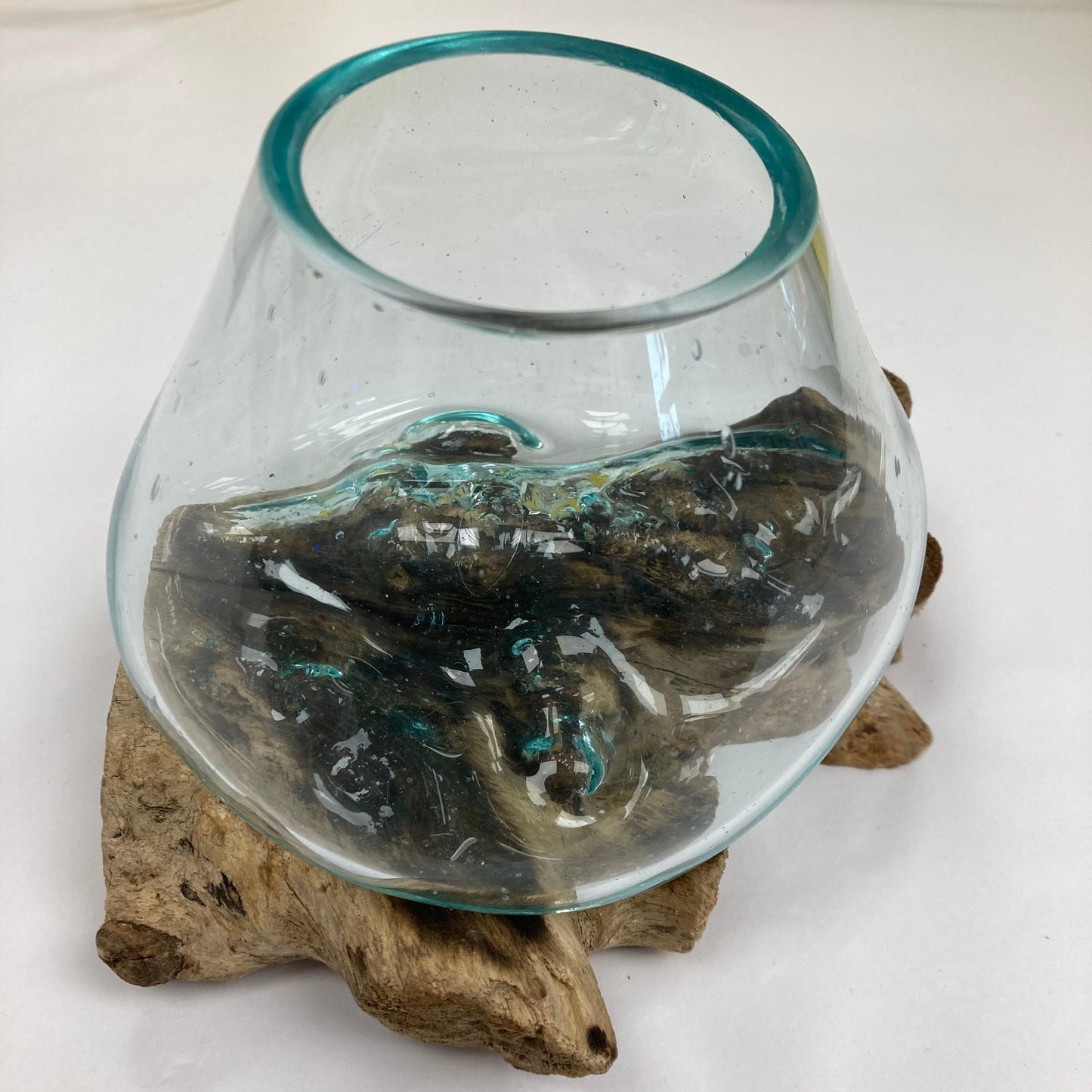Root with glass bowl: small - The Coast Office