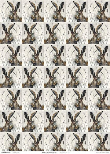 Wrapping Paper Sheet: Hares - The Coast Office