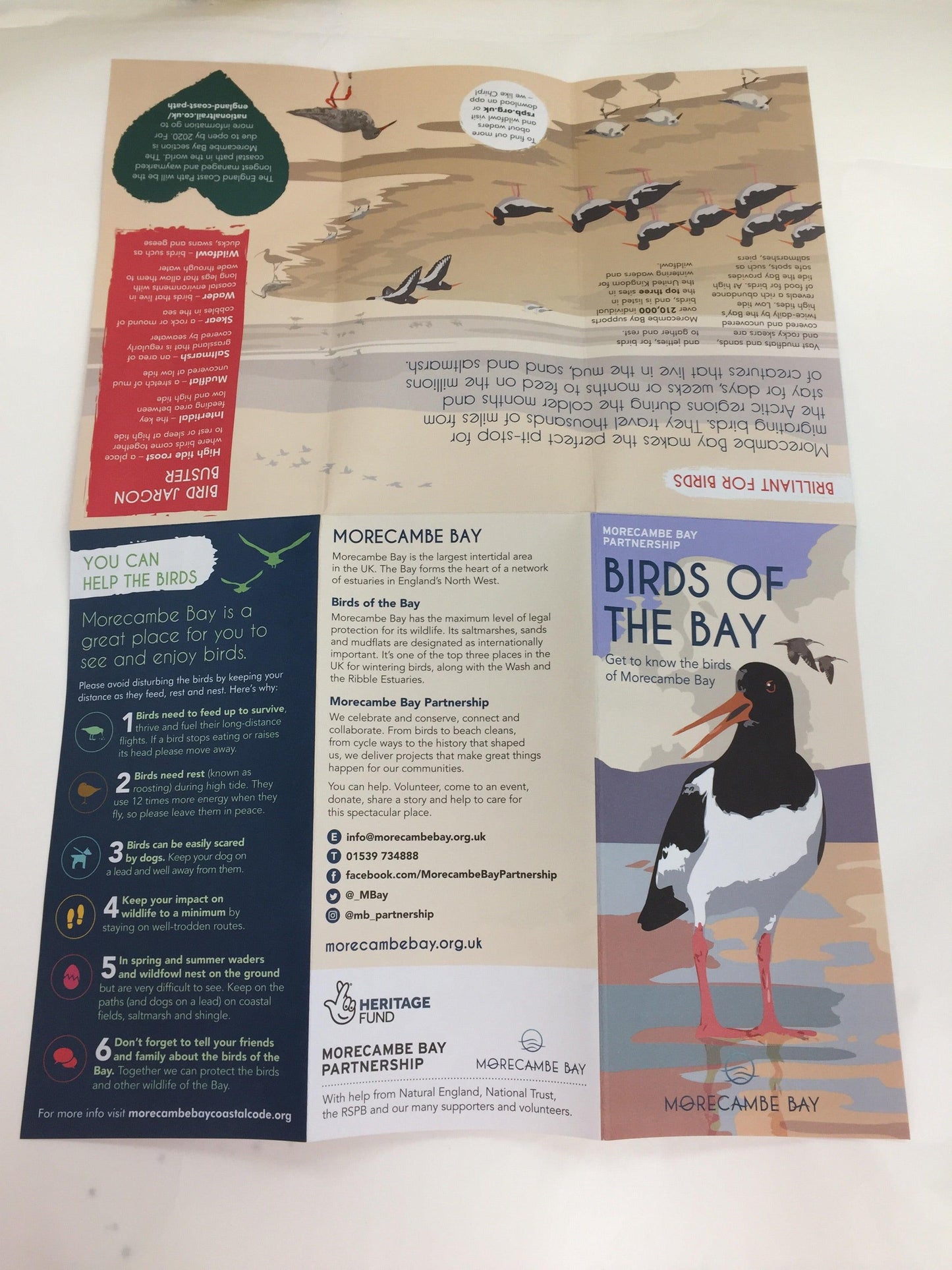 Birds of the Bay Tea-Towel - The Coast Office