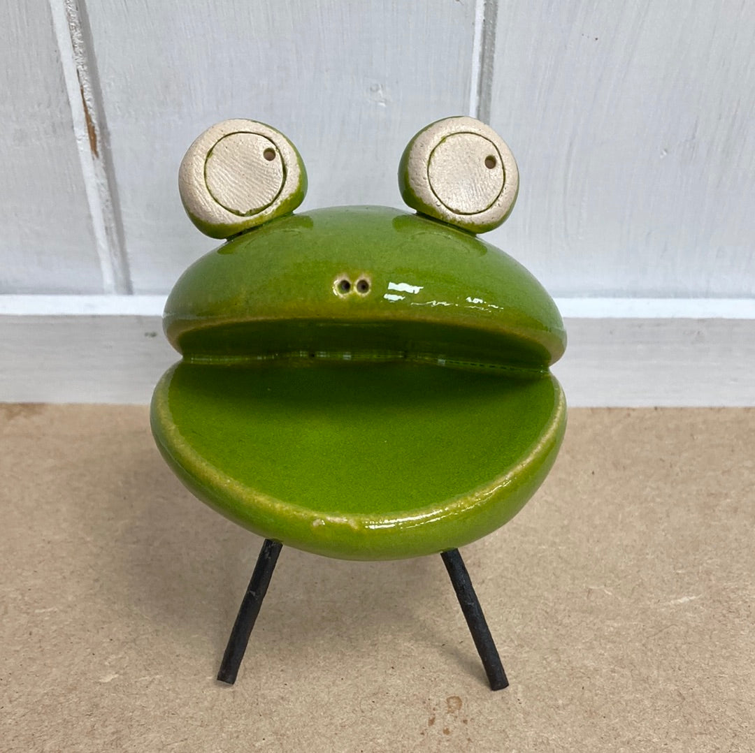 Grenouille verte souriante