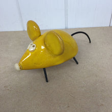 Afbeelding in Gallery-weergave laden, Stekelige egel
