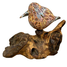 Afbeelding in Gallery-weergave laden, Geschilderde abstracte vogel op wortel
