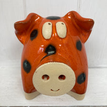 Load image into Gallery viewer, Chubby Pig
