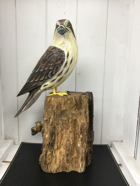 Kestrel on Post