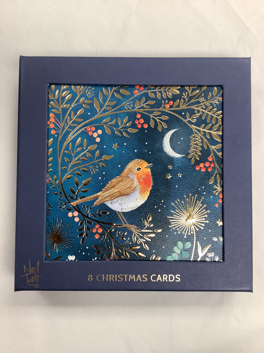 Boîtes à cartes de Noël premium (B)