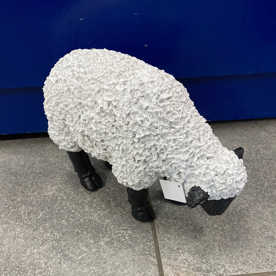 Grote schapen