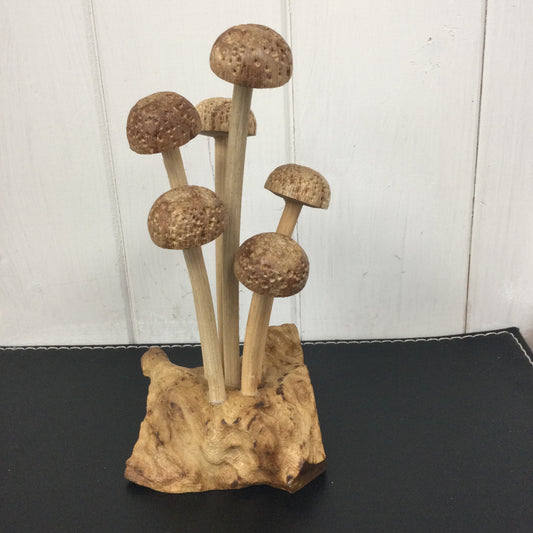 Skinny Mushroom Forest