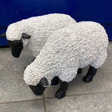 Afbeelding in Gallery-weergave laden, Grote schapen
