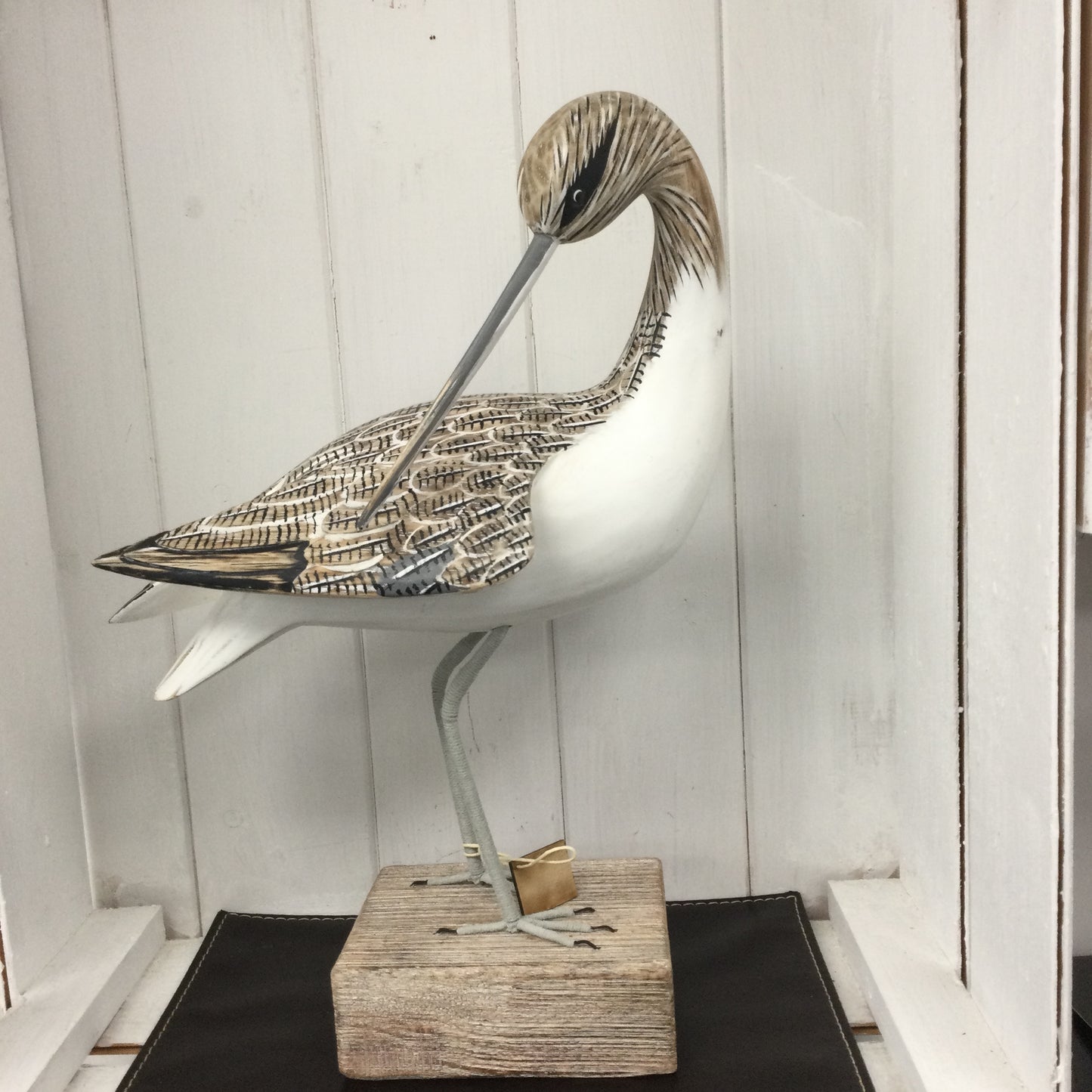 Preening Curlew