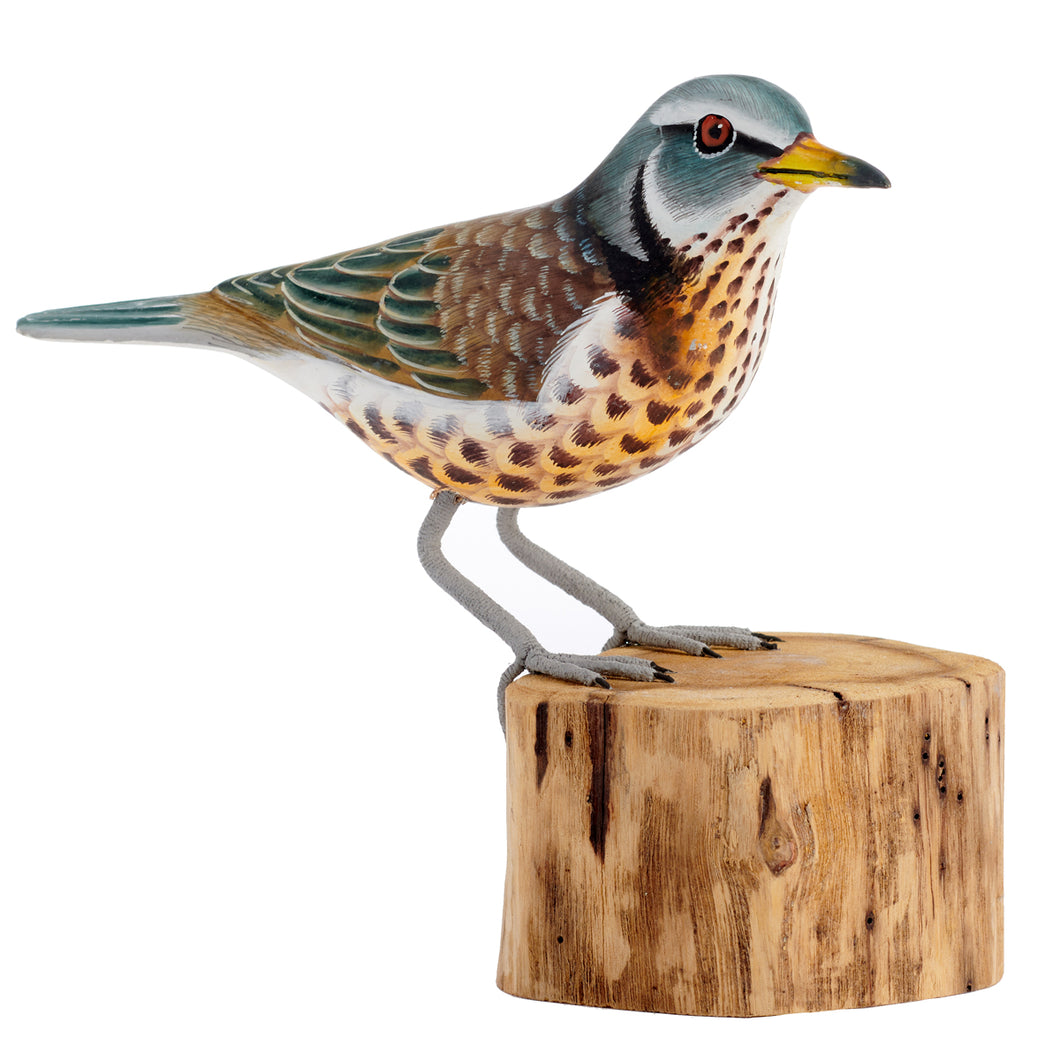 Fieldfare