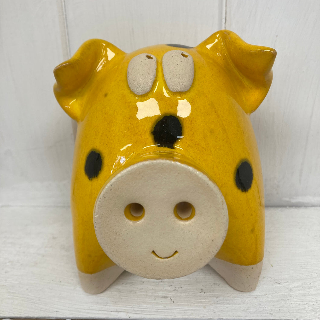 Chubby Pig