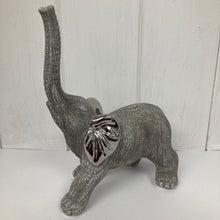 Afbeelding in Gallery-weergave laden, Scratched Grey Elephant
