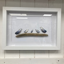 Load image into Gallery viewer, Mussel Shell Gull Pictures
