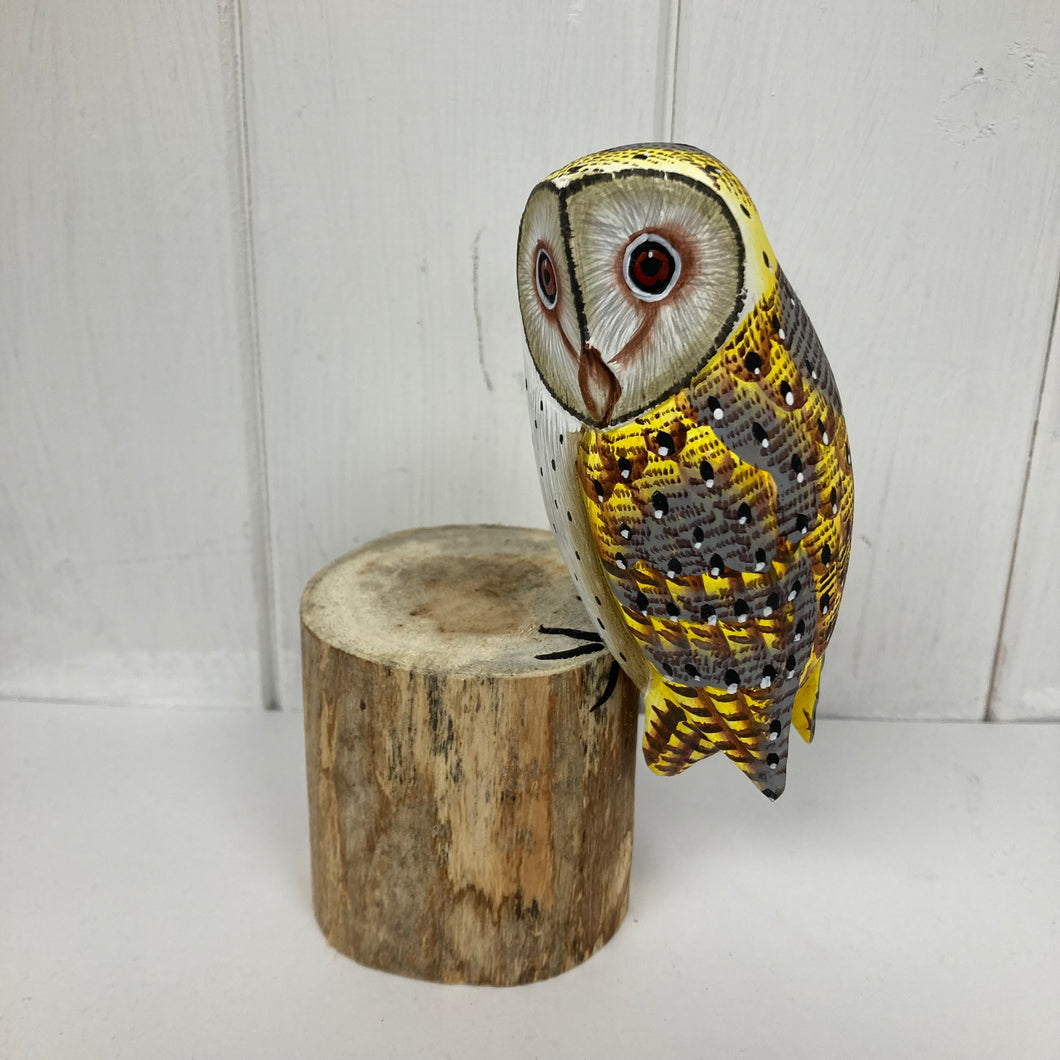 Barn Owl