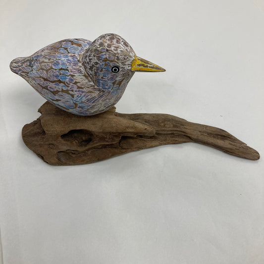 Large Painted Abstract Bird on root
