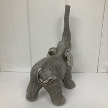 Afbeelding in Gallery-weergave laden, Scratched Grey Elephant

