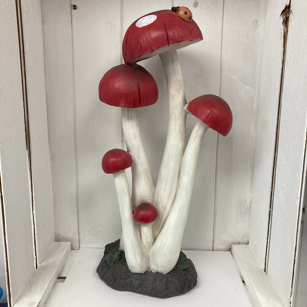 Paddestoel Rode Vlek Lieveheersbeestje