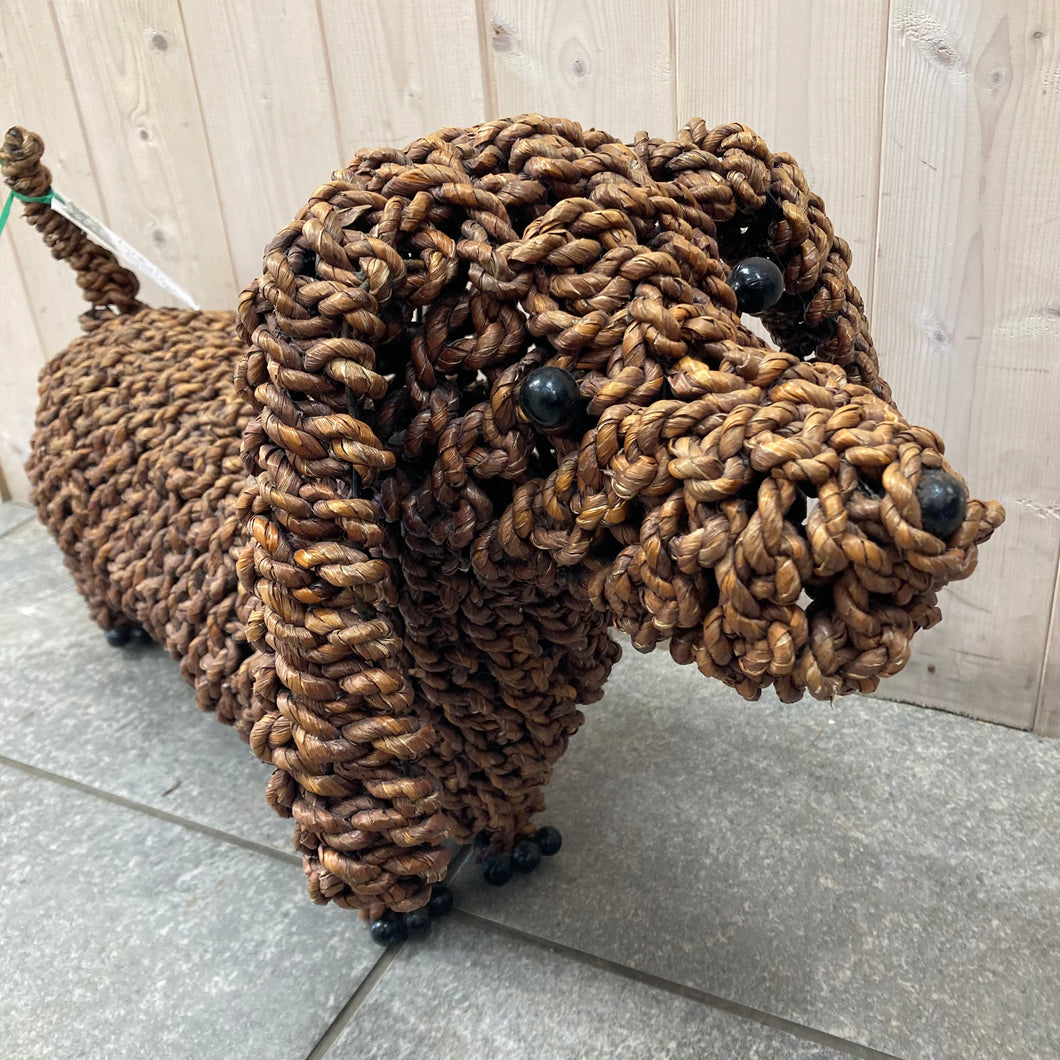 Brown Noodle Sausage Dog