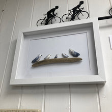 Load image into Gallery viewer, Mussel Shell Gull Pictures
