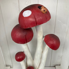 Afbeelding in Gallery-weergave laden, Paddestoel Rode Vlek Lieveheersbeestje
