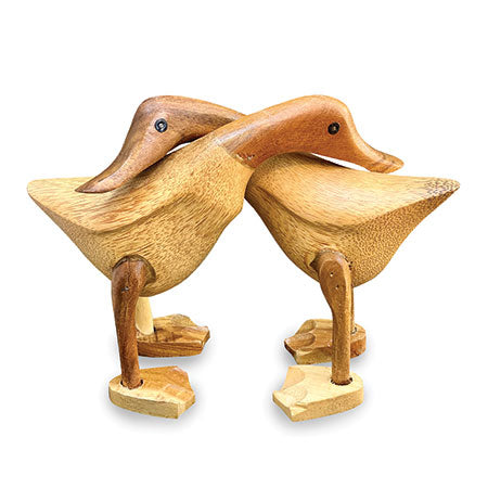 Hugging Ducks