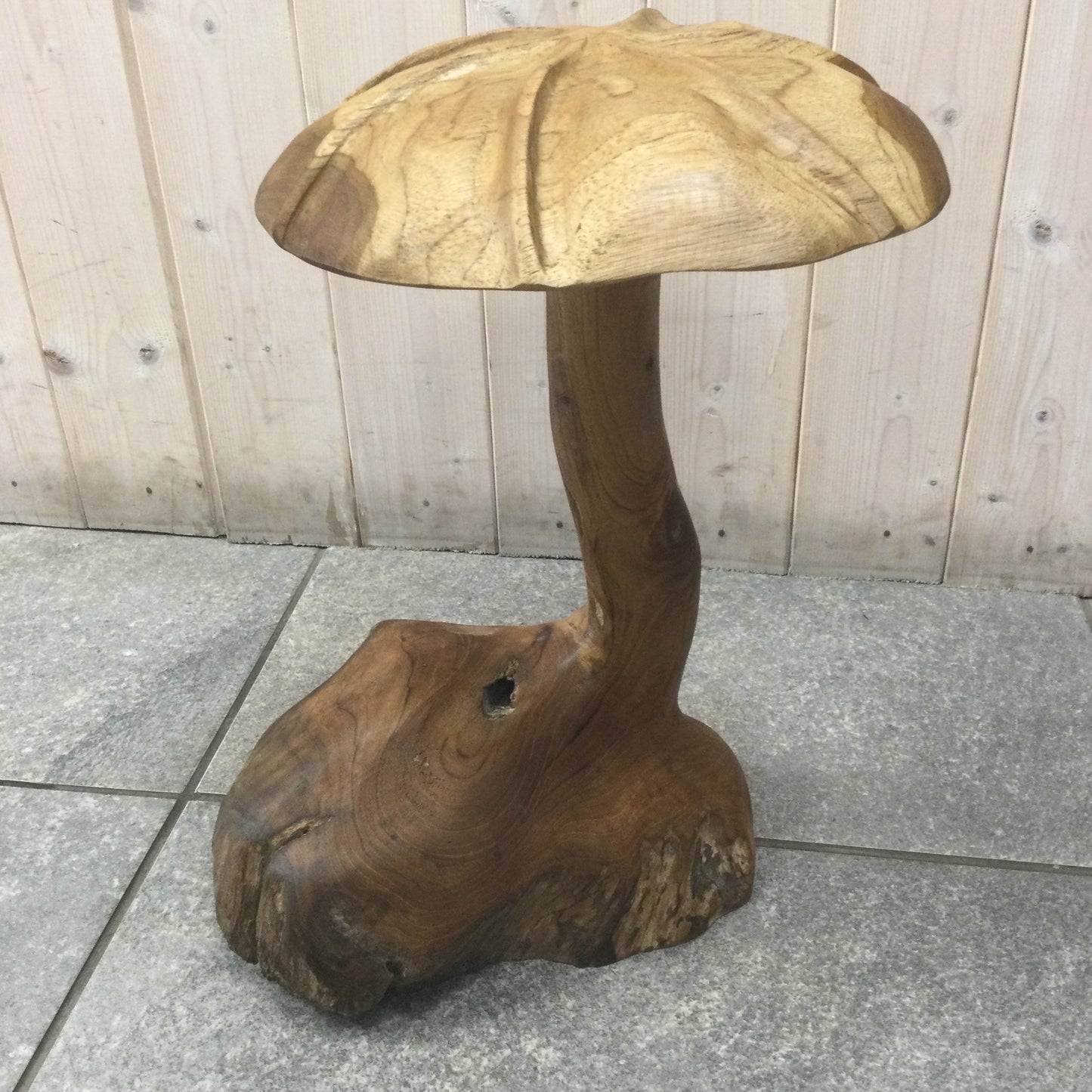 Teak Root Wild Mushrooms