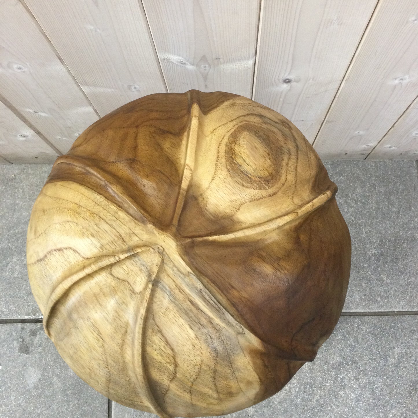 Teak Root Wild Mushrooms