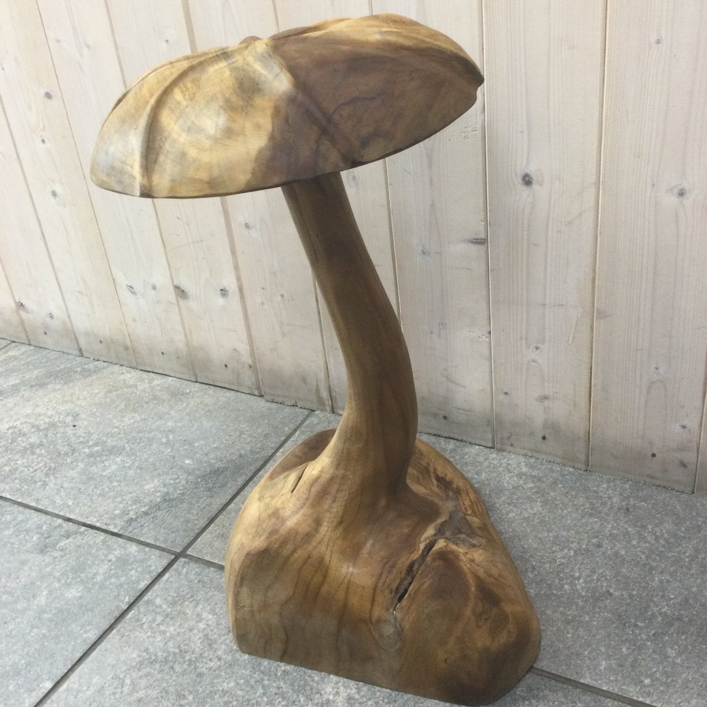 Teak Root Wild Mushrooms