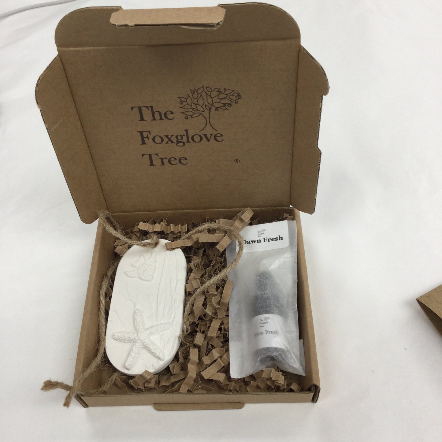 Car Diffuser: Starfish