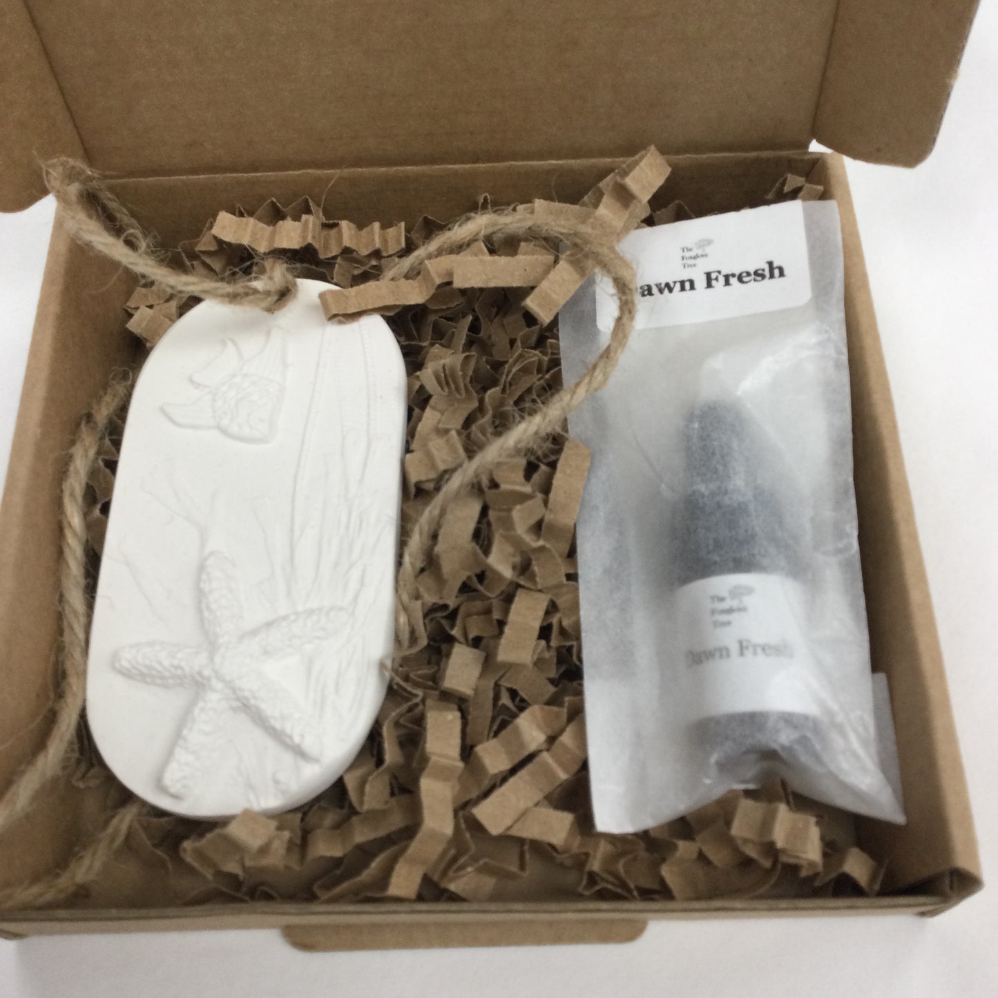 Car Diffuser: Starfish