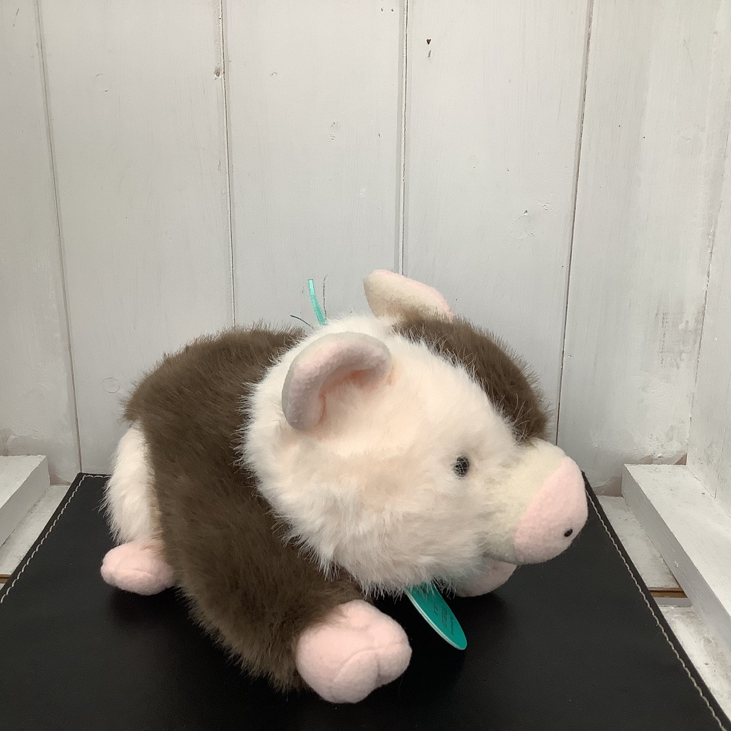 Adorable Spotty Pig