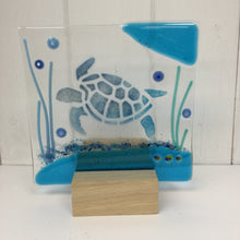 Afbeelding in Gallery-weergave laden, Sea Turtle
