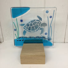Afbeelding in Gallery-weergave laden, Sea Turtle
