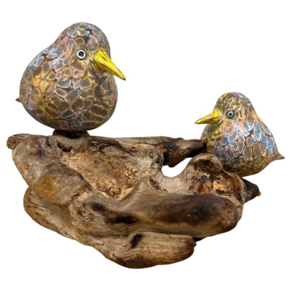 Mother and Chick Painted Abstract Birds on root