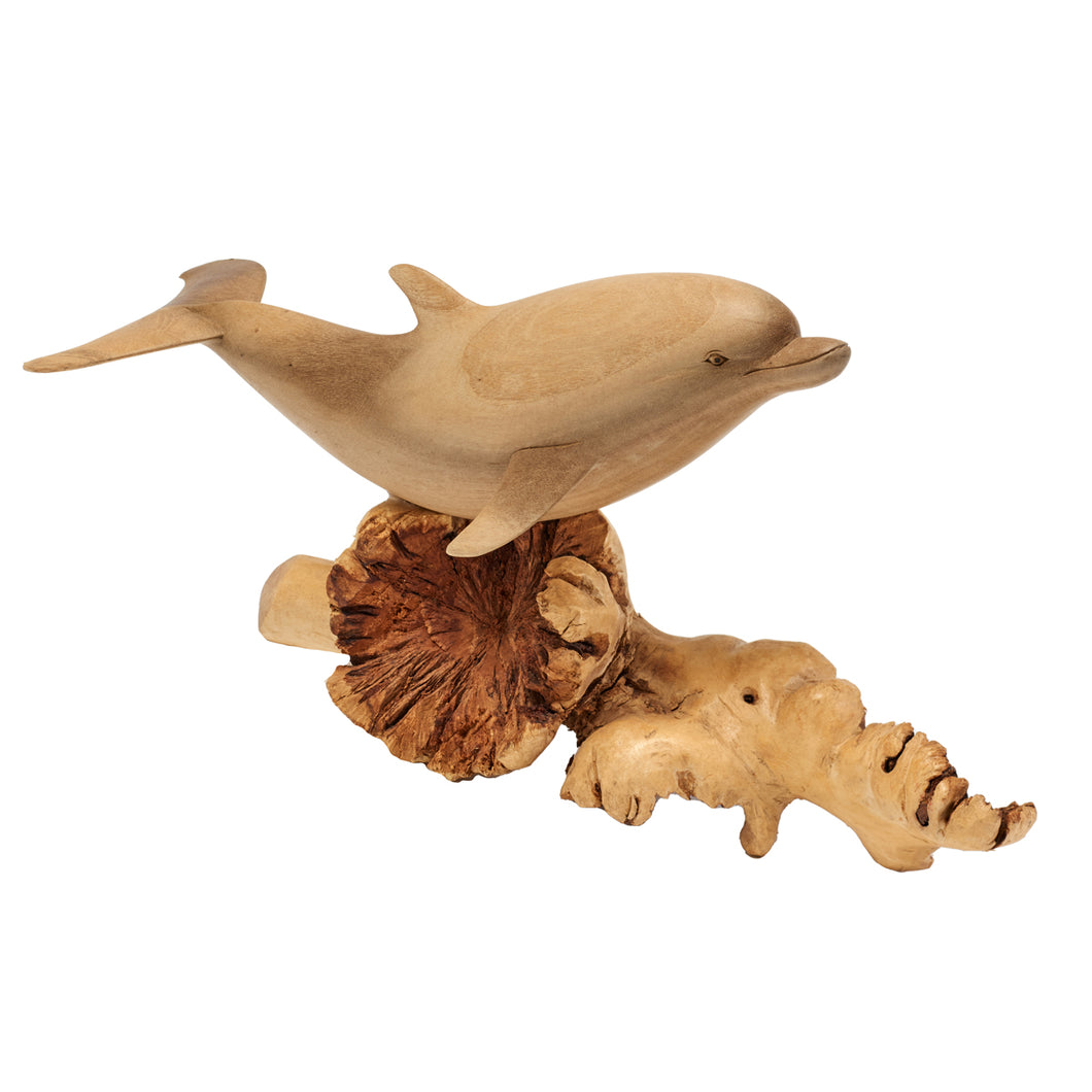 Colibri sur champignon