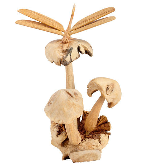 Dragonfly on Mushroom