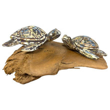 Load image into Gallery viewer, Two Painted Abstract Turtles on root
