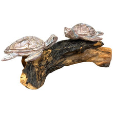 Load image into Gallery viewer, Two Painted Abstract Turtles on root
