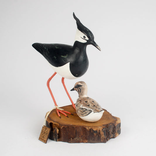 Lapwing and Chick