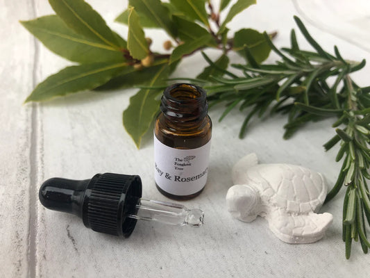 Bien-être des tortues